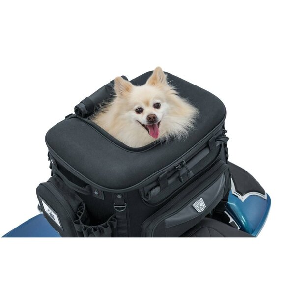 Kuryakyn Pet Palace - Picture 10 of 10